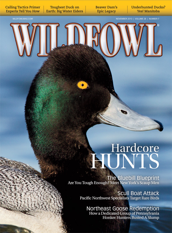 Wildfowl magazine November 2013