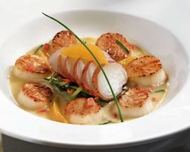 scallops