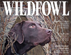 Wildfowl Magazine