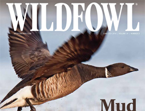 Wildfowl Magazine