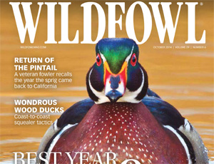 Wildfowl Magazine