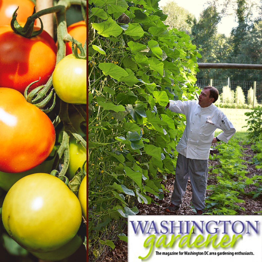 washington gardener article